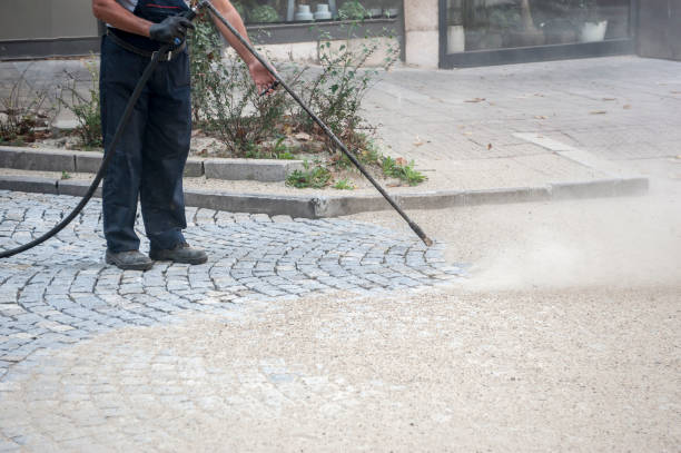 Animal Enclosure Cleaning in Berryville, VA